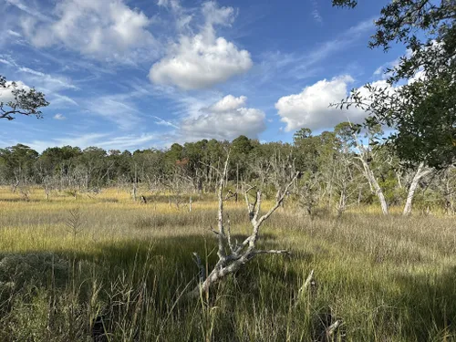 10 Best Trails and Hikes in Charleston | AllTrails