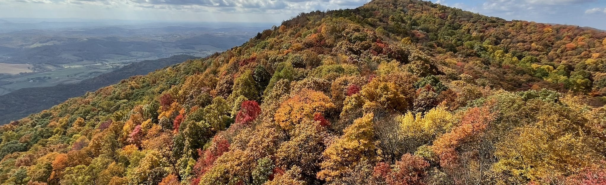 Sand Cave and White Rocks via Ewing Trail, Virginia 1,064 Reviews