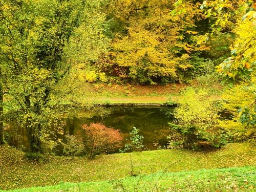 Grasellenbach Felsenquelle Kunstweg