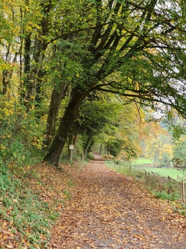 Grasellenbach Felsenquelle Kunstweg