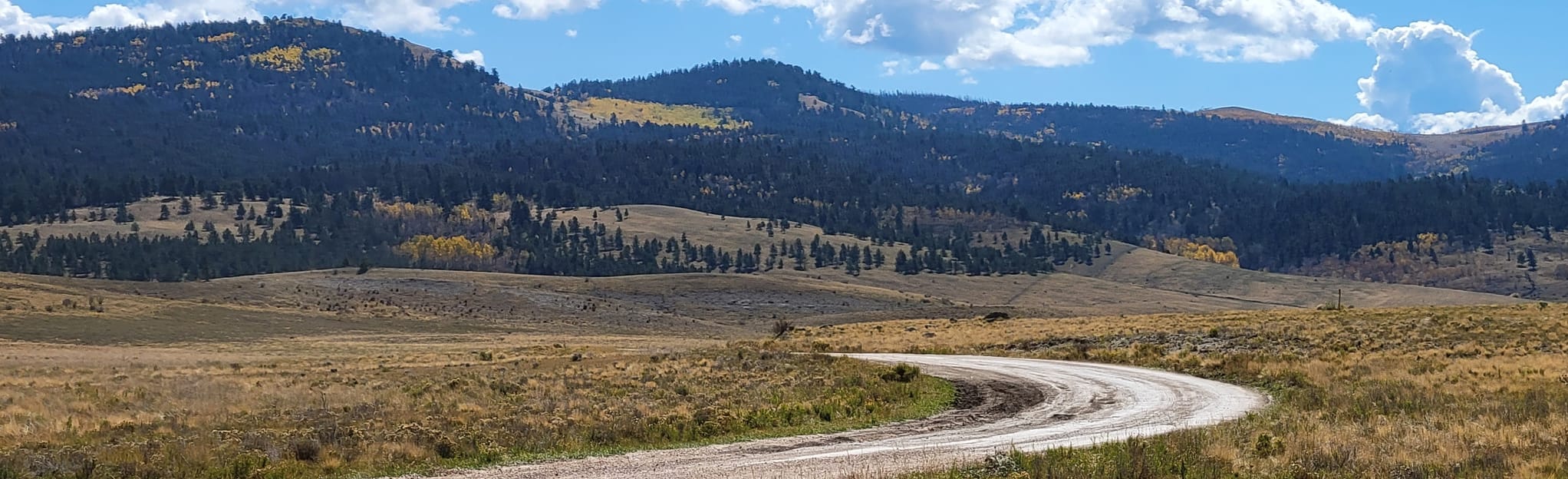 Aspen Ridge OHV Trail 71 Reviews, Map Colorado AllTrails