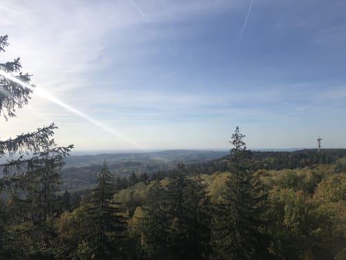 Teutoburger Wald: Kammweg und Sachsenweg