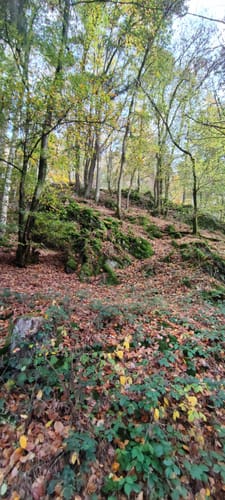 HeimatSpur Lavaweg