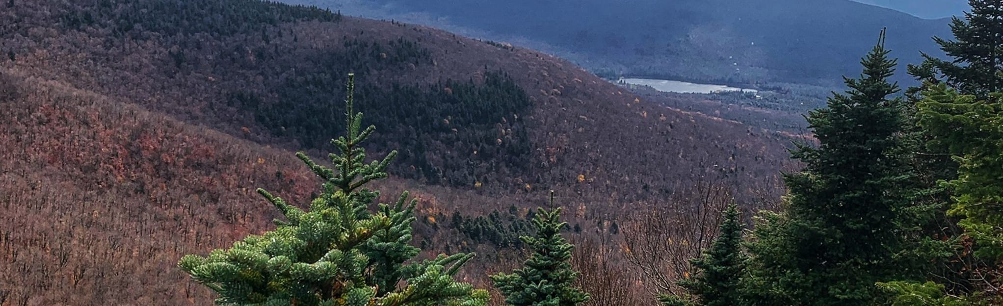 Black Dome and Thomas Cole Mountain OutandBack from Big Hollow Road