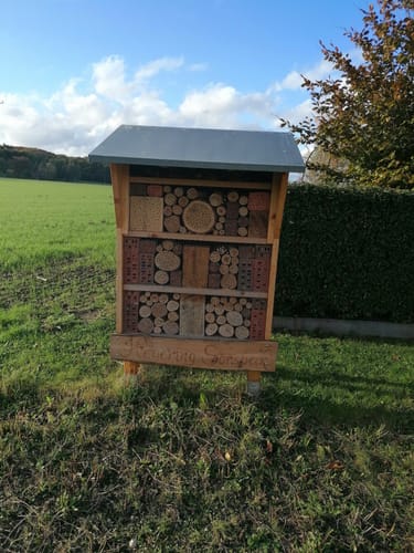Bei Labbeck durch den Tüchelwald