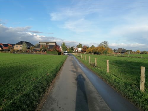 Bei Labbeck durch den Tüchelwald