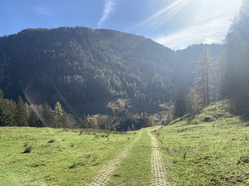 Klausenbachklamm (Premiumwanderweg)
