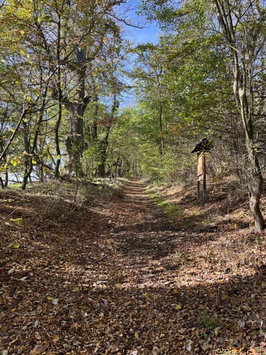 Keltenweg am Goloring