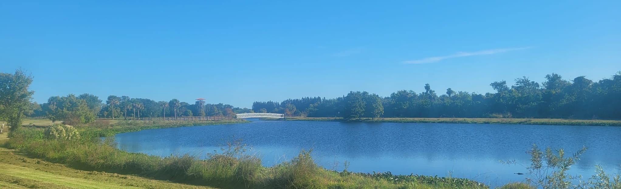 Chain of Lakes Park Loop, Florida 147 Reviews, Map AllTrails