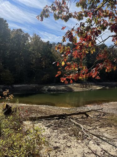 clemson experimental forest trails