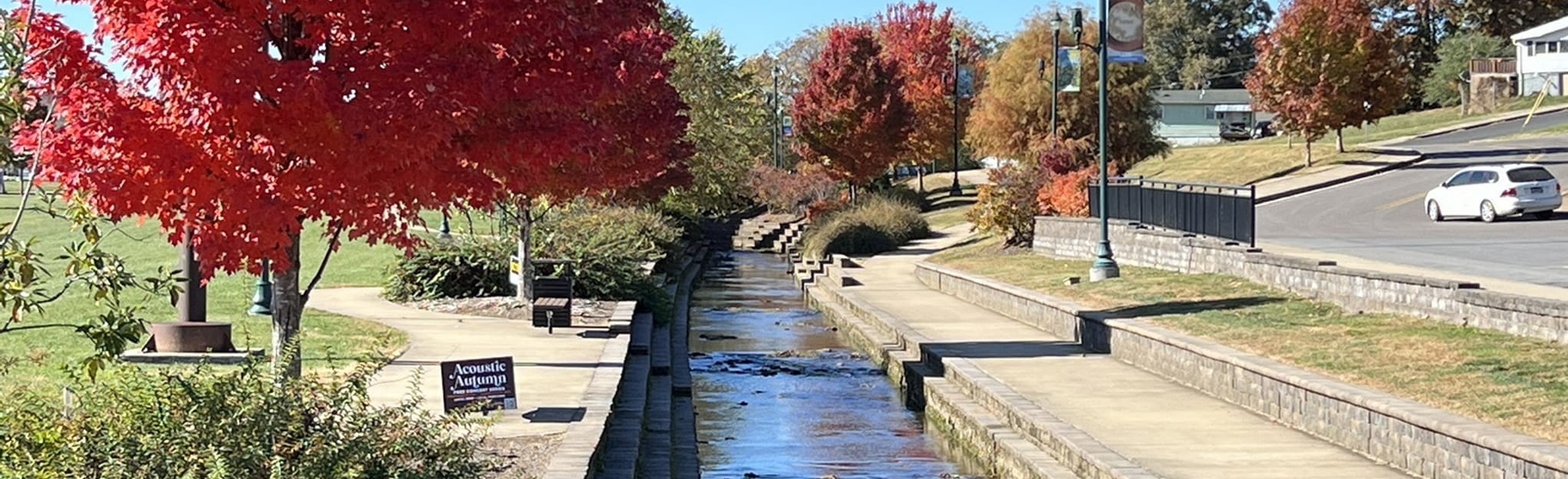 Founders Park Loop 65 Reviews, Map Tennessee AllTrails