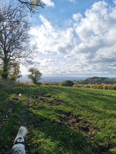 Rundwanderweg Rennenberger Bachtal (LZ7)