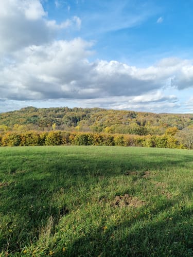 Rundwanderweg Rennenberger Bachtal (LZ7)