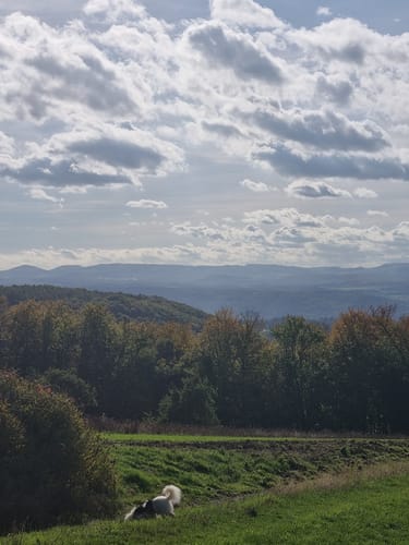 Rundwanderweg Rennenberger Bachtal (LZ7)