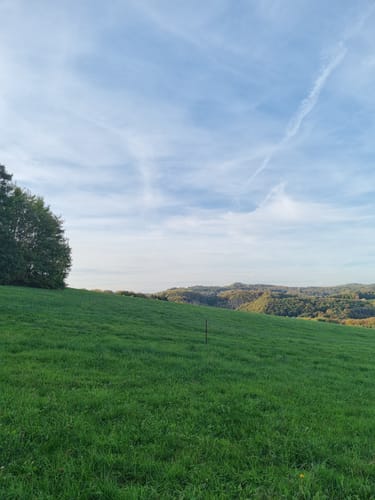 Rundwanderweg Rennenberger Bachtal (LZ7)