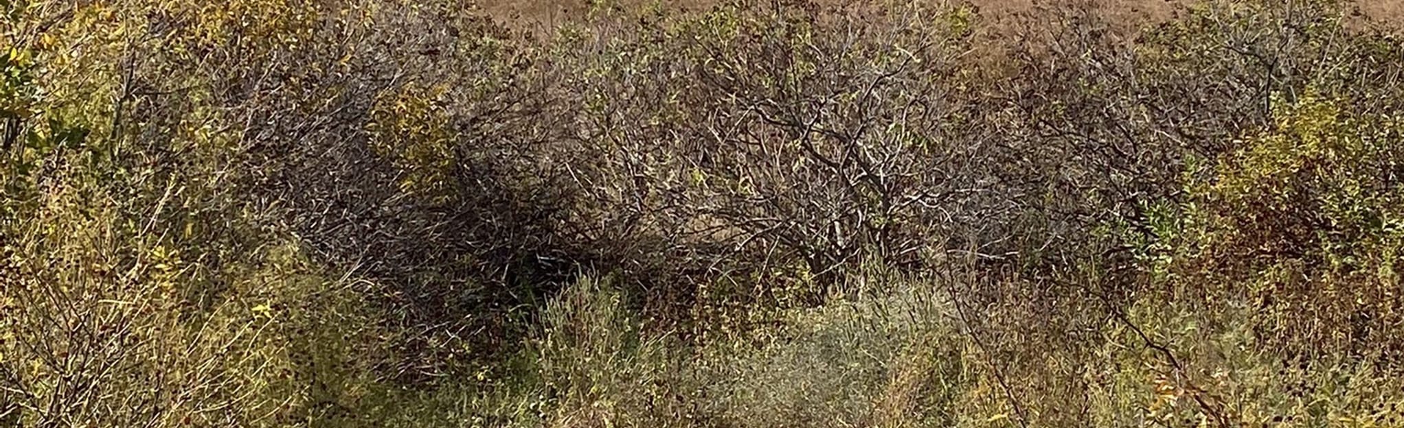 Little Elm Lakefront Trail Map - EyJidWNrZXQiOiJhc3NldHMuYWxsdHJhaWxzLmNvbSIsImtleSI6InVwbG9hZHMvcGhvdG8vaW1hZ2UvNTM2OTk0MTgvNmM5Njg1MjgwNzJmYTYyNTExNDkwOTlmZjMwZmFhODYuanBnIiwiZWRpdHMiOnsidG9Gb3JtYXQiOiJqcGVnIiwicmVzaXplIjp7IndpZHRoIjoyMDQ0LCJoZWlnaHQiOjYyNCwiZml0IjoiY292ZXIifSwicm90YXRlIjpudWxsLCJqcGVnIjp7InRyZWxsaXNRdWFudGlzYXRpb24iOnRydWUsIm92ZXJzaG9vdERlcmluZ2luZyI6dHJ1ZSwib3B0aW1pc2VTY2FucyI6dHJ1ZSwicXVhbnRpc2F0aW9uVGFibGUiOjN9fX0=