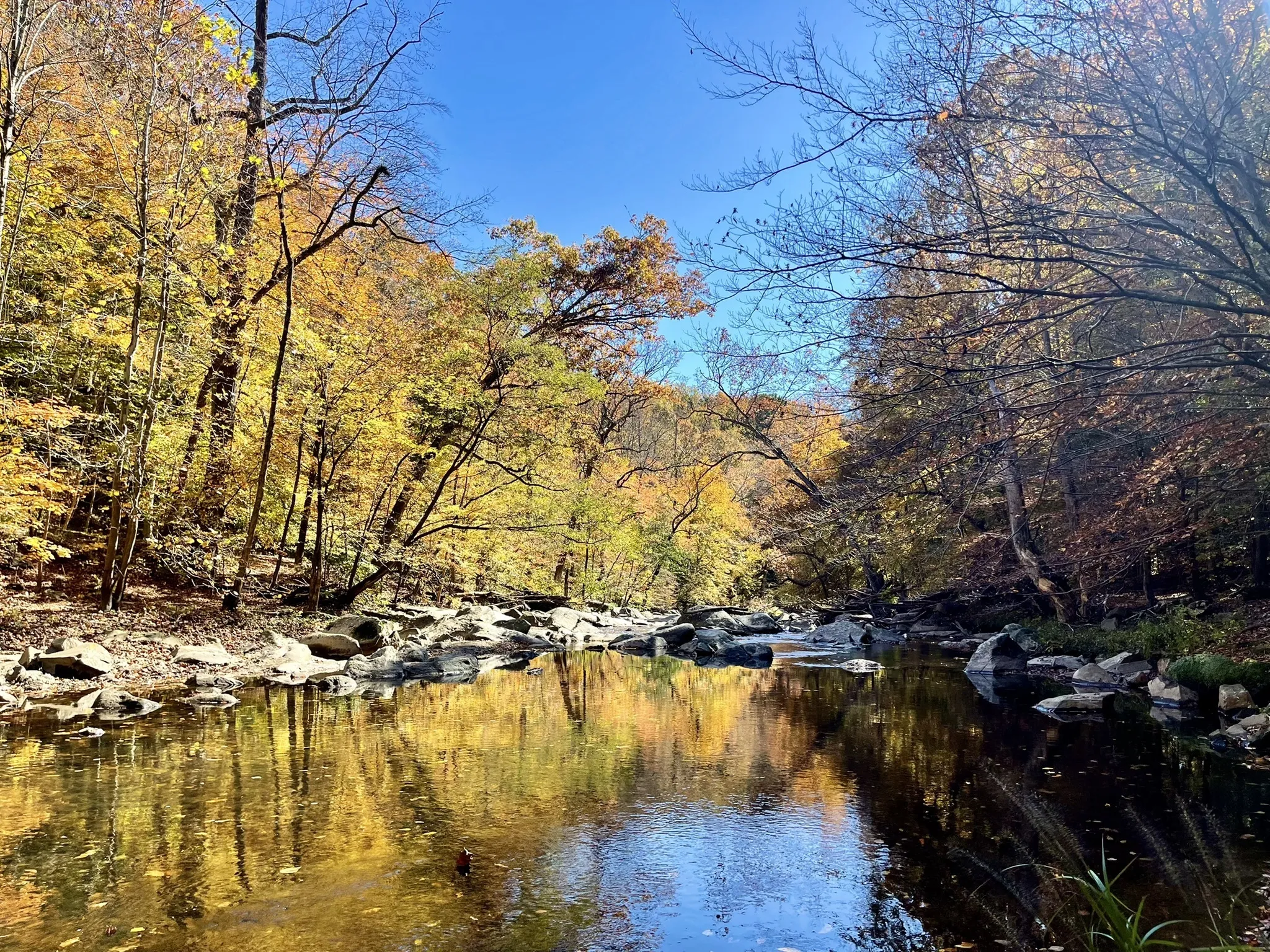 Rock Creek Park scenery 2