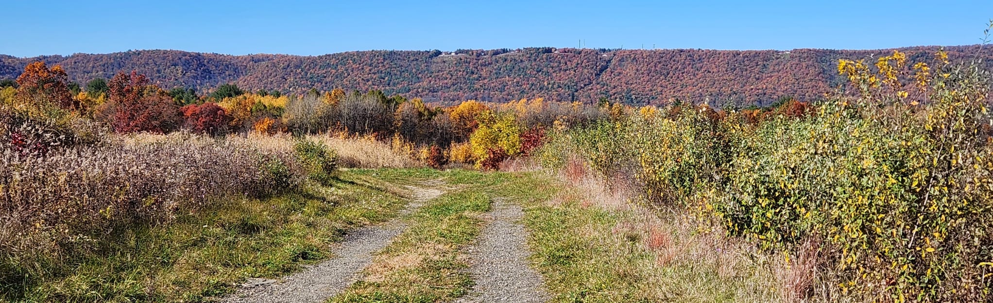 Shiloh Road Spring Creek Canyon Loop 280 foto Pennsylvania AllTrails