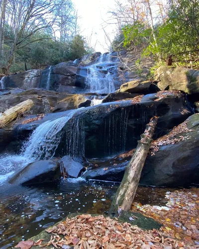 Best Hikes and Trails in Snowbird Wilderness Study Area | AllTrails