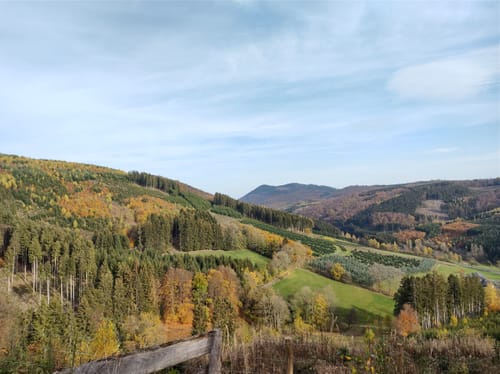 Rund um Elpe