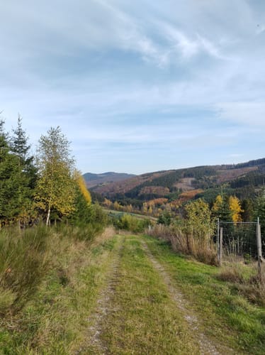 Rund um Elpe