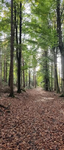 Erlebnispfad Klebweg