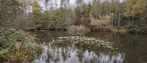Erlebnispfad Klebweg
