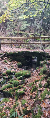 Erlebnispfad Klebweg