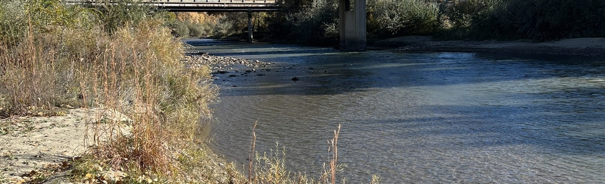 Aztec Animas River Trail 38 Reviews, Map New Mexico AllTrails
