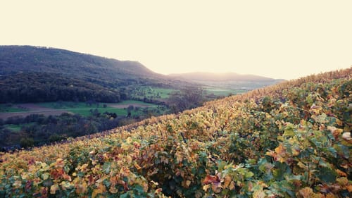 Limburg Rundweg