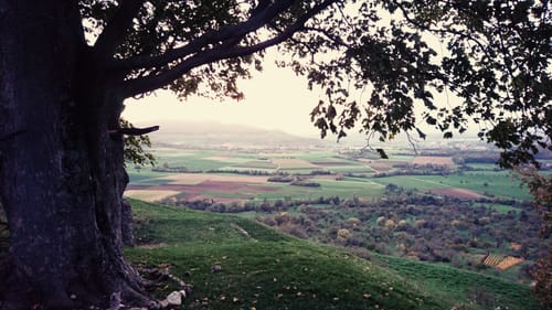 Limburg Rundweg