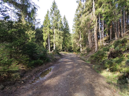 Hüttschenthal - Wildemann