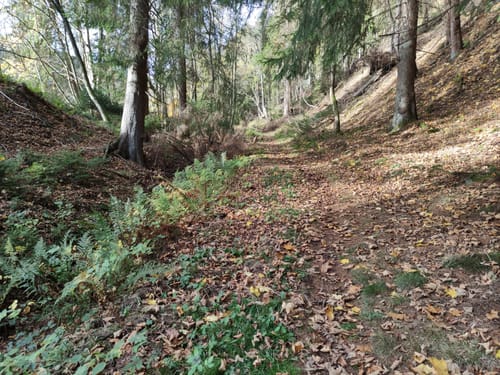 Hüttschenthal - Wildemann