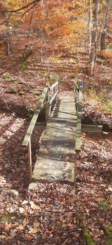 Best Hikes and Trails in Basswood Pond State Forest | AllTrails