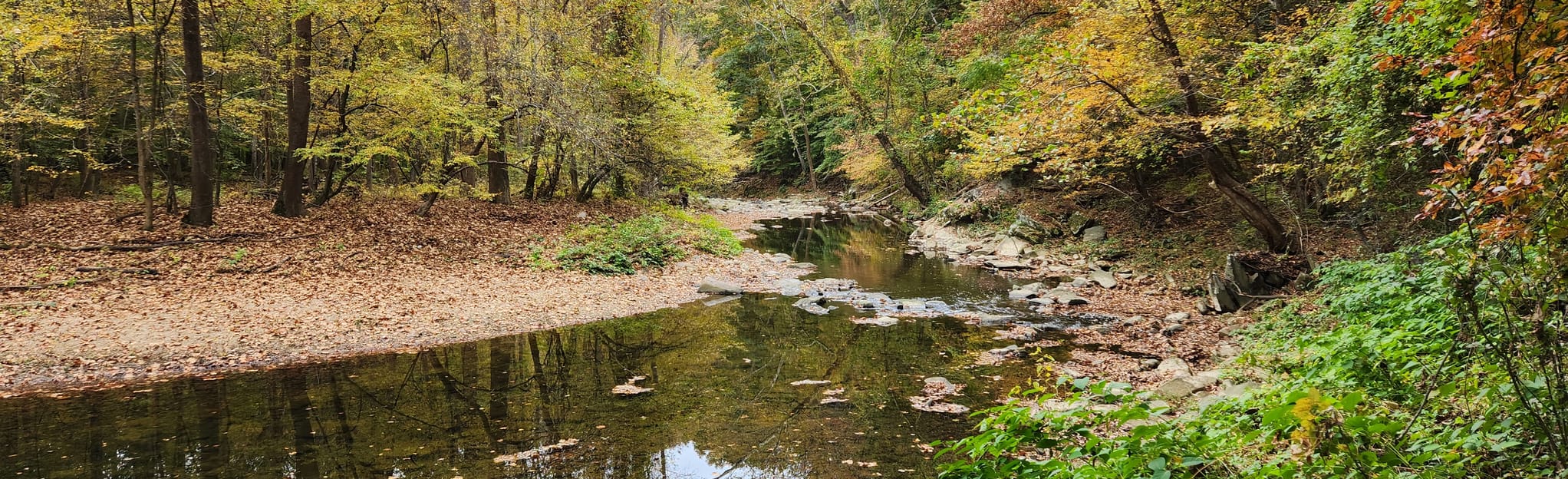 Cabin John Trail Cabin John Local Park to Seven Locks Road, Maryland