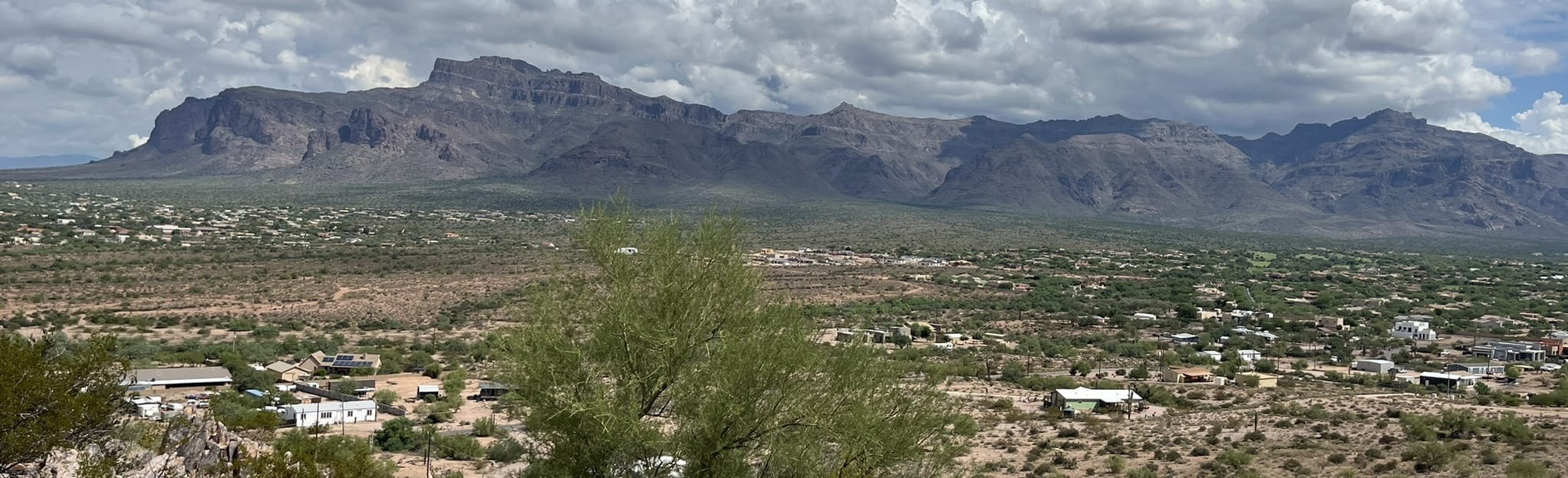 Brittlebush Trail Loop 500 Reviews, Map Arizona AllTrails