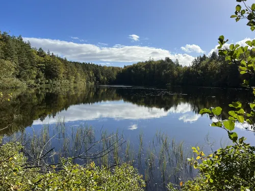 2023 Best River Trails in Olofström AllTrails