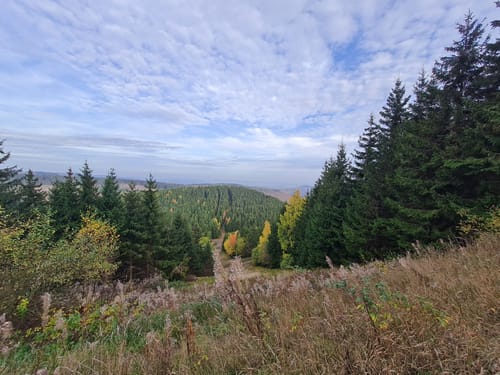 Liebesbankweg (Premiumwanderweg)