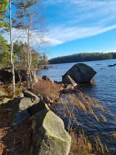 Best Hikes and Trails in Stensjön naturreservat | AllTrails