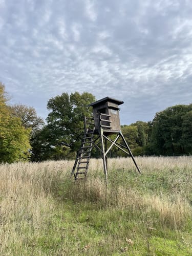 Drover Heide
