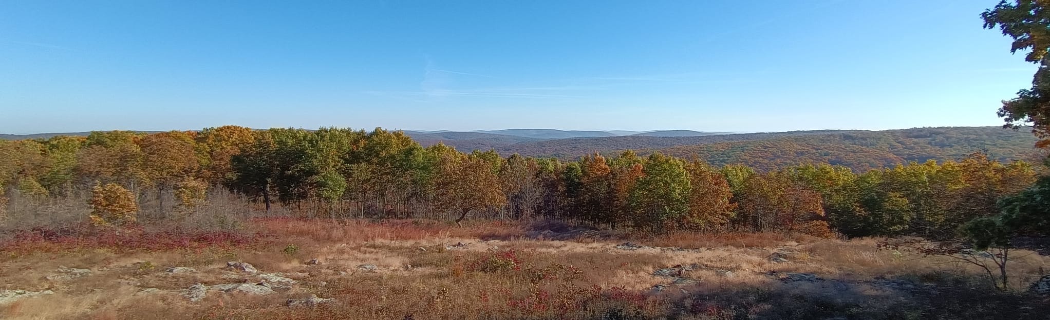 Escape to the Clouds: Your Guide to Missouri's Taum Sauk Mountain State Park