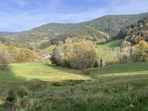Wiesensteig (Premiumwanderweg)