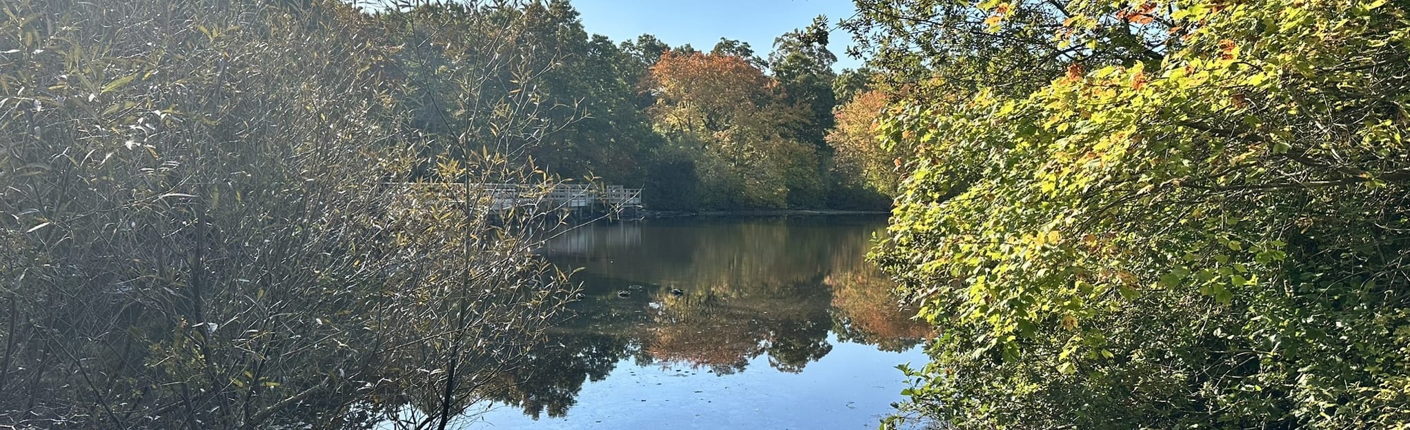 Long Island Greenbelt Trail Lakeland Park, New York 251 Reviews, Map AllTrails