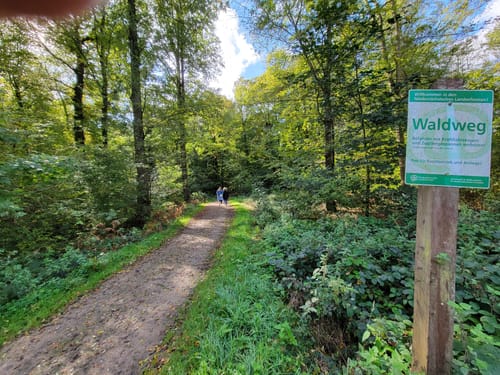 Wold und Woldsee