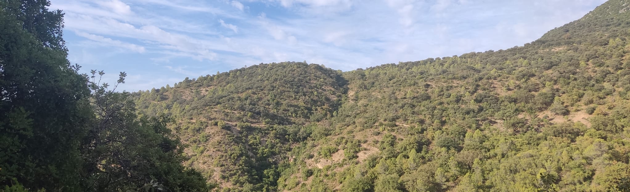 Ubrique El Bosque Benamahoma Villaluenga del Rosario 0 Reviews