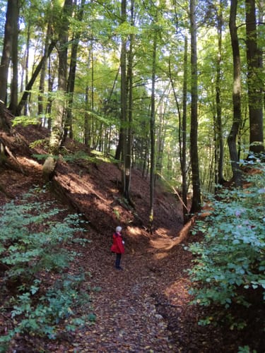 Thalmässing 4 : Premiumwanderweg Jurakante