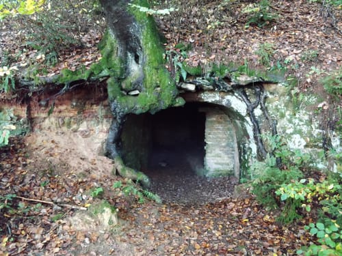 Thalmässing 4 : Premiumwanderweg Jurakante