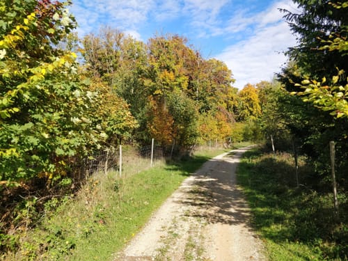 Thalmässing 4 : Premiumwanderweg Jurakante