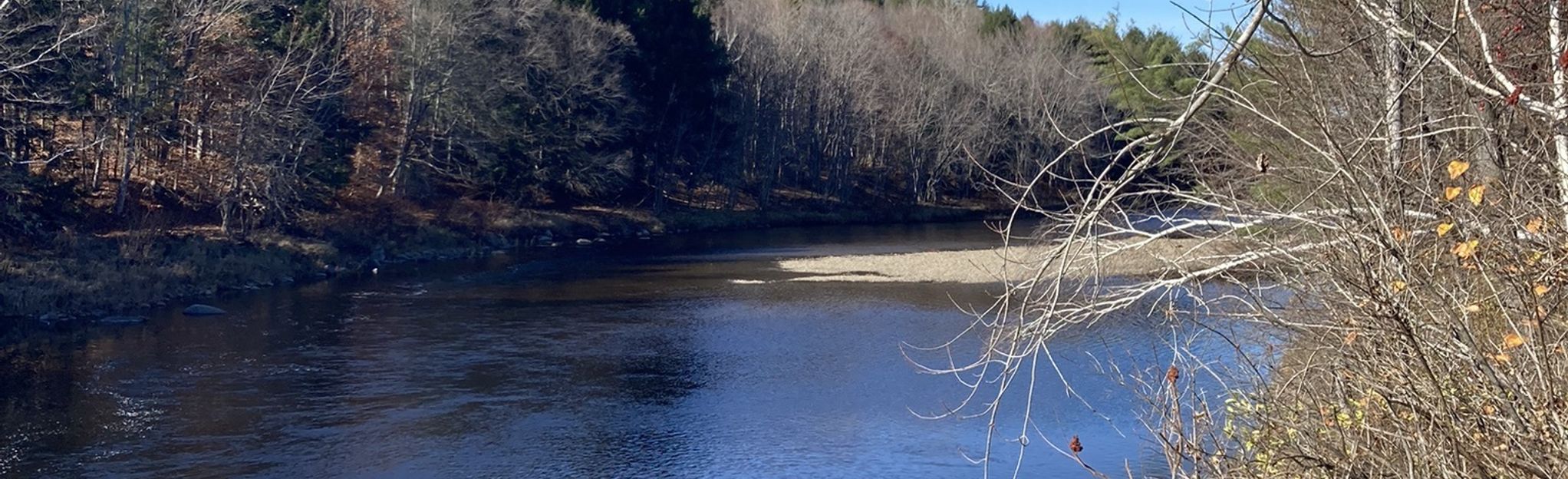 Sandy River Trail: 10 Reviews, Map - Maine | AllTrails