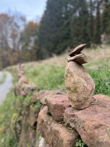 Waldlehrpfad Ober-Schönmattenwag